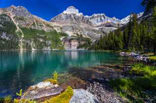 Lake O'Hara-4478 Lake O'Hara-4478